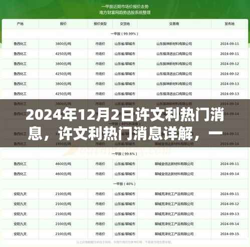 许文利热门消息揭秘,掌握2024年12月2日热点资讯全解析