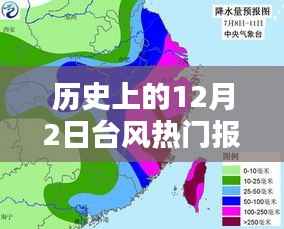 历史上的12月2日台风深度分析与个人观点,热门报道回顾