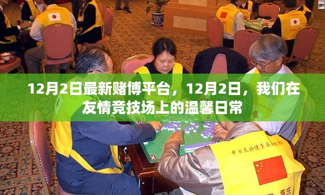 友情竞技场上的温馨日常,最新赌博平台体验