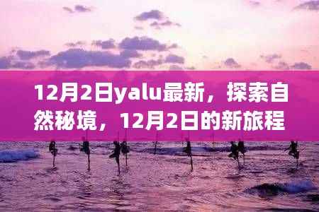 探索自然秘境,寻找内心的宁静与平和——最新旅程始于12月2日