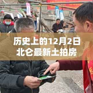 北仑最新土拍房深度解析,历史视角下的12月2日观察与解读
