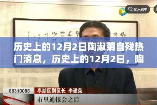 陶淑菊自残事件,深度解析与历史上的12月2日热门消息回顾