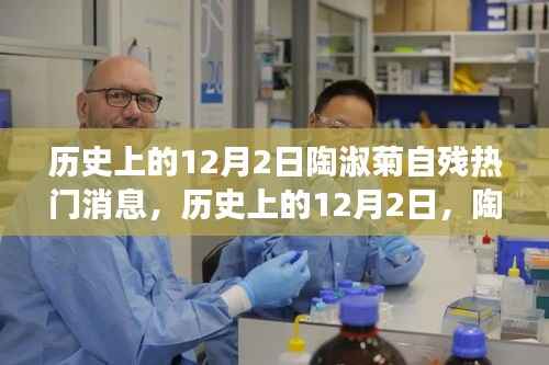 陶淑菊自残事件,深度解析与历史上的12月2日热门消息回顾