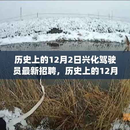 历史上的12月2日兴化驾驶员招聘深度探讨与观点争议