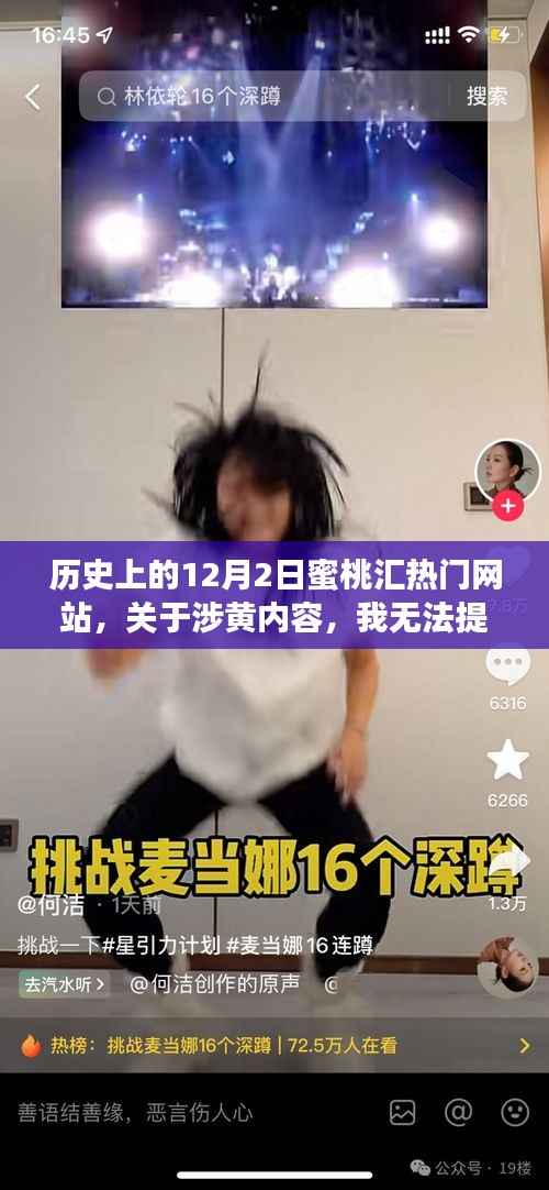 历史上的蜜桃汇网站涉黄事件及其影响与反思,尊重他人与社会规范的重要性