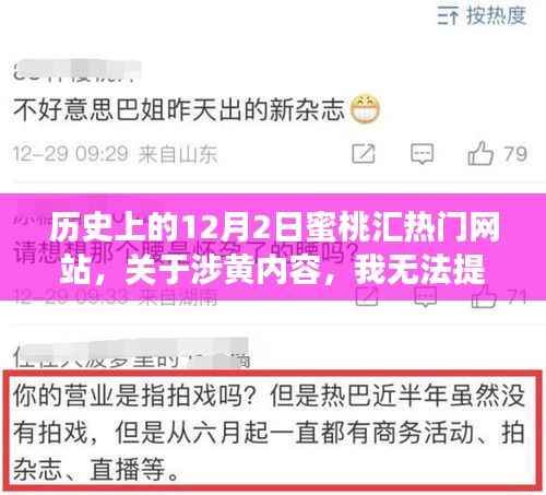 历史上的蜜桃汇网站涉黄事件及其影响与反思,尊重他人与社会规范的重要性