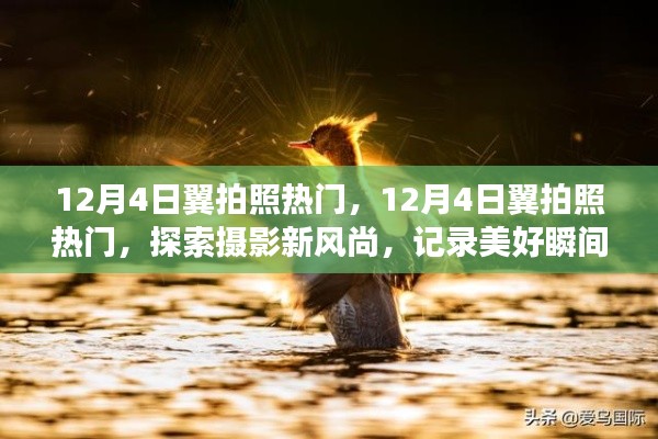 12月4日翼拍照热门,探索摄影新风尚,记录美好瞬间
