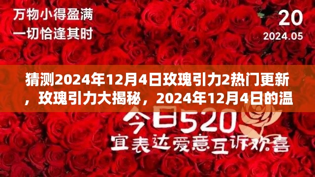 揭秘玫瑰引力,2024年12月4日的温馨时光大揭秘