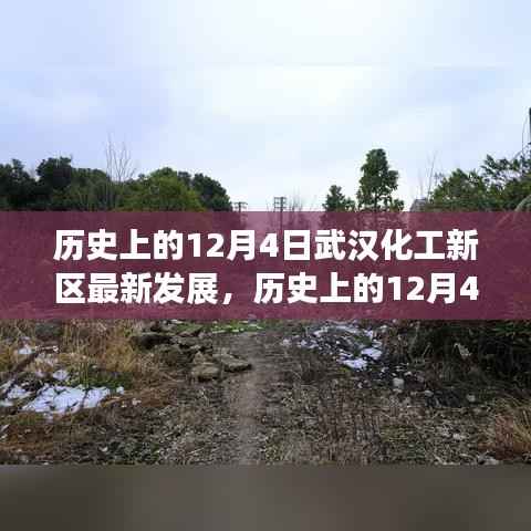 武汉化工新区多维视角解析,历史发展与最新进展回顾(附日期,历史上的12月4日)