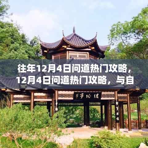 12月4日问道热门攻略揭秘,与自然共舞,探寻内心桃花源