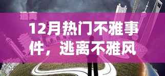 12月热门不雅事件背后的暖心之旅,逃离纷扰,拥抱自然美景