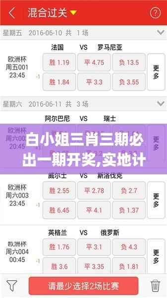 白小姐三肖三期必出一期开奖,实地计划设计验证_V24.828-6