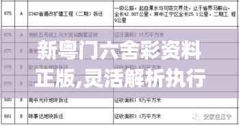 新粤门六舍彩资料正版,灵活解析执行_4DM57.557-8