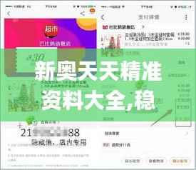 新奥天天精准资料大全,稳定设计解析_至尊版88.918-1