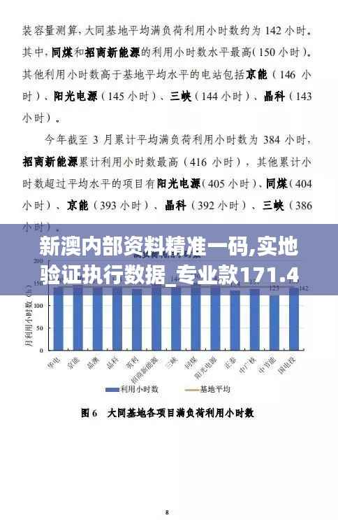 新澳内部资料精准一码,实地验证执行数据_专业款171.471