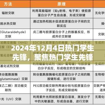 2024年12月4日热门学生先锋聚焦,瞩目焦点荟萃