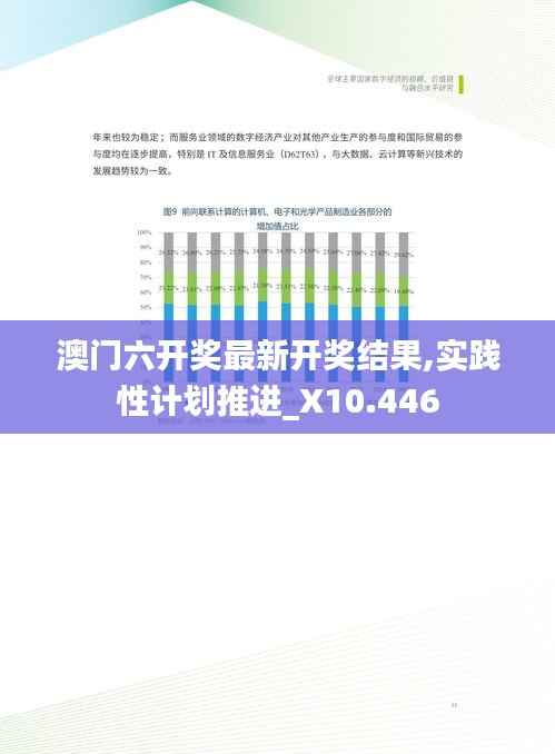 澳门六开奖最新开奖结果,实践性计划推进_X10.446