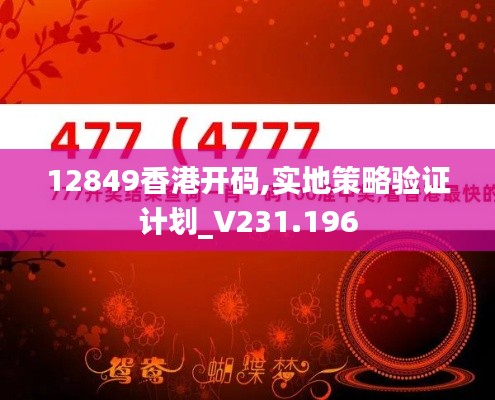 12849香港开码,实地策略验证计划_V231.196