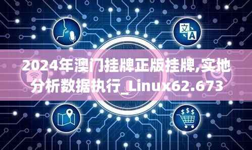 2024年澳门挂牌正版挂牌,实地分析数据执行_Linux62.673