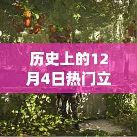 历史上的立体地图,探寻内心平静的奇妙旅程之12月4日热门立体地图回顾