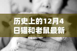 历史上的12月4日揭秘,猫和老鼠的最新消息回顾与辉煌瞬间(小红书分享)