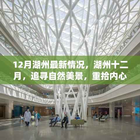 湖州十二月，追寻自然美景，心灵宁静之旅