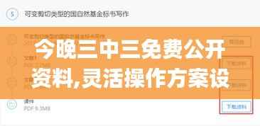 今晚三中三免费公开资料,灵活操作方案设计_RemixOS30.198