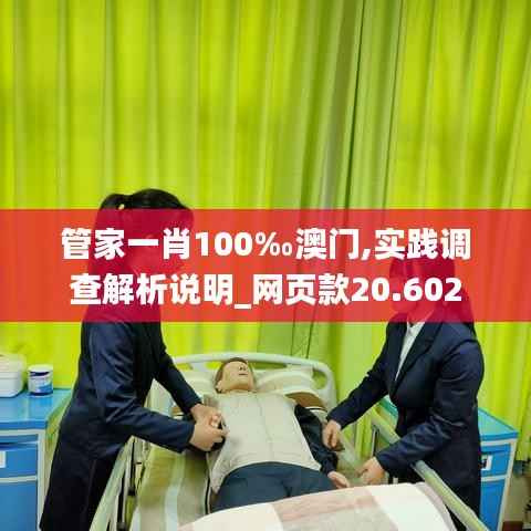 管家一肖100‰澳门,实践调查解析说明_网页款20.602