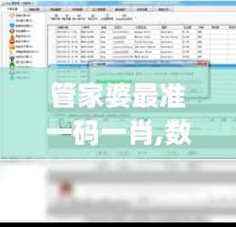 管家婆最准一码一肖,数据驱动实施方案_macOS1.421
