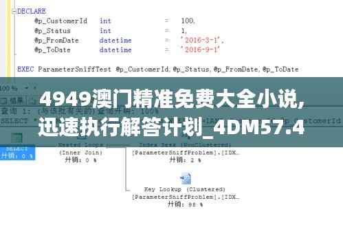 4949澳门精准免费大全小说,迅速执行解答计划_4DM57.412