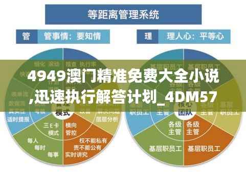 4949澳门精准免费大全小说,迅速执行解答计划_4DM57.412