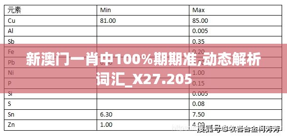 新澳门一肖中100%期期准,动态解析词汇_X27.205
