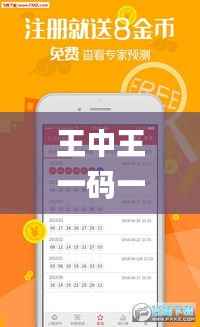 王中王一码一肖一特一中2024年,权威分析解释定义_3K199.711