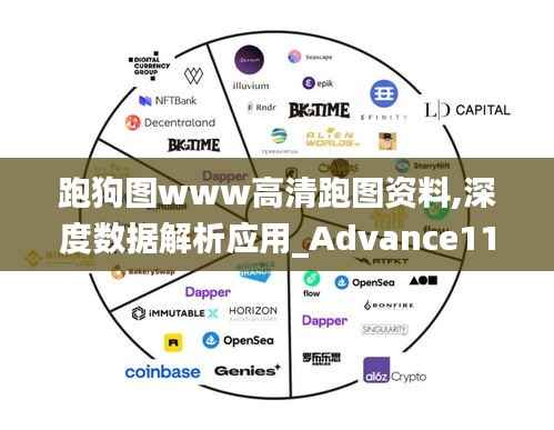 跑狗图www高清跑图资料,深度数据解析应用_Advance116.216