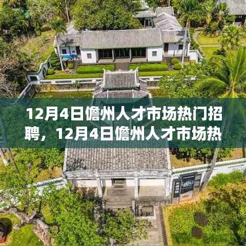 12月4日儋州人才市场热门招聘全景解析及招聘动态速递