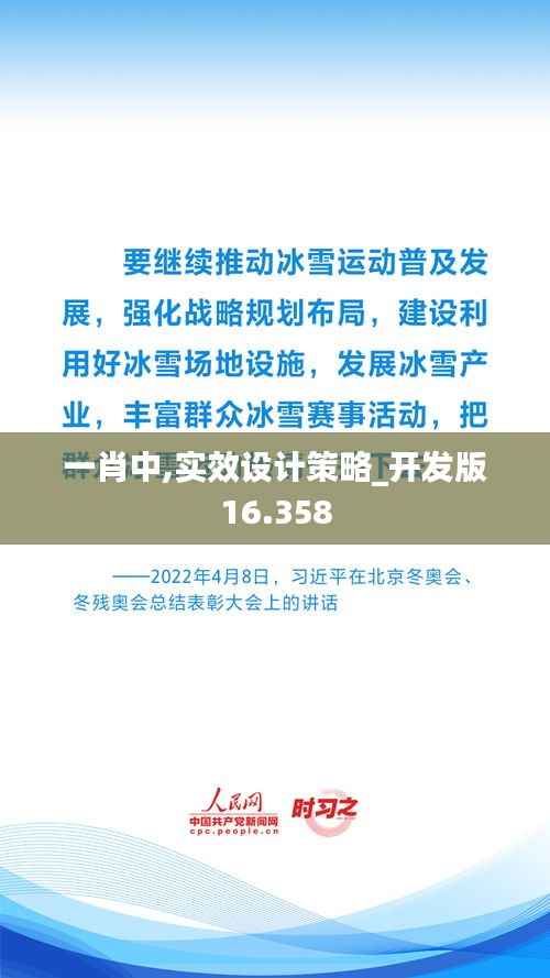 一肖中,实效设计策略_开发版16.358