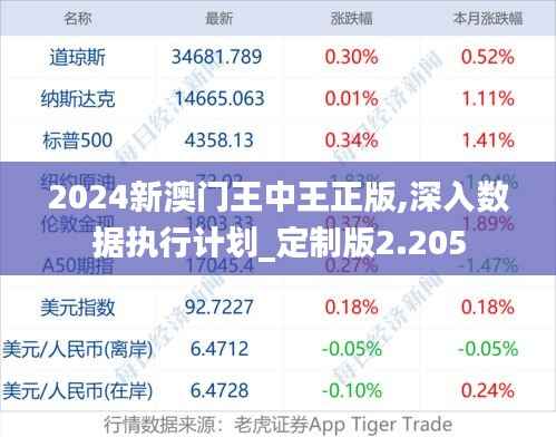 2024新澳门王中王正版,深入数据执行计划_定制版2.205