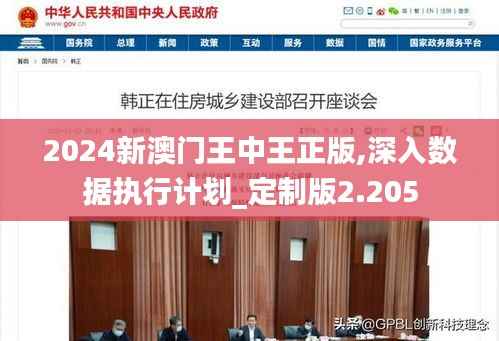 2024新澳门王中王正版,深入数据执行计划_定制版2.205