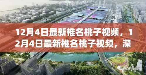 独家解读,椎名桃子最新视频内容及其影响力分析