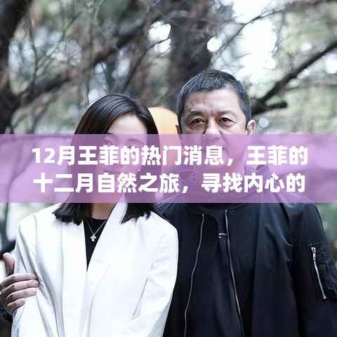 王菲十二月心灵之旅,自然探寻与内心宁静的魔法时刻