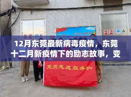 东莞十二月疫情下的励志故事,学习、信心与成就的力量