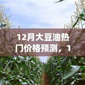 12月大豆油热门价格预测及市场走势深度解析