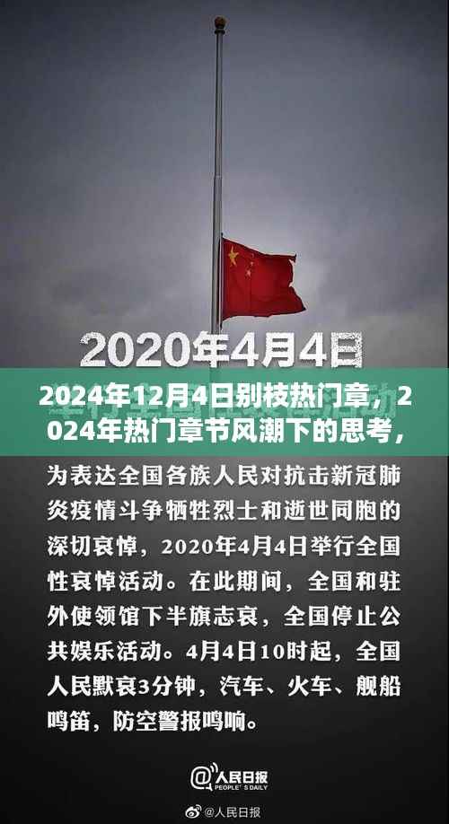 别枝热门章与2024年热门章节风潮下的深度解读与观点阐述