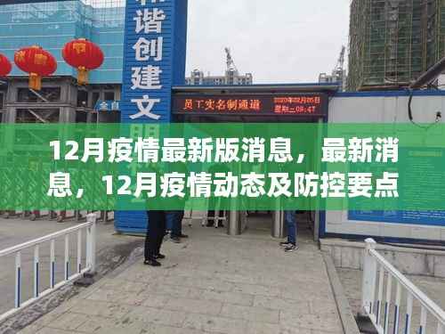 12月疫情最新动态与防控要点解读,最新版消息全面梳理