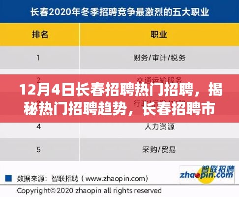 12月4日长春热门招聘解析,揭秘招聘市场趋势与热点