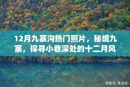秘境九寨,探寻小巷深处的十二月风光摄影之旅,热门照片欣赏