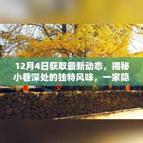 揭秘日常喧嚣中的隐藏美味,小巷深处的特色小店新发现报道