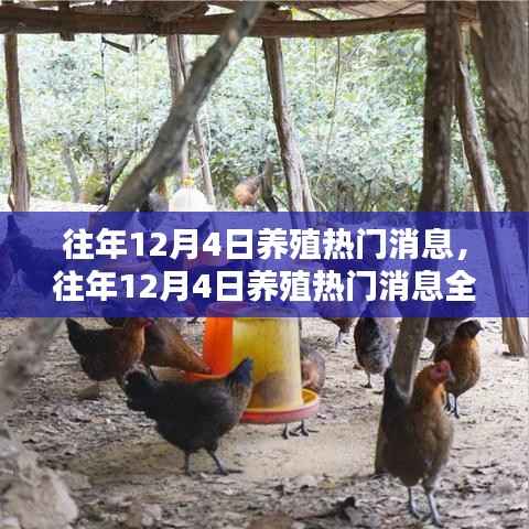 往年12月4日养殖热点深度解析,成为养殖达人之路全揭秘