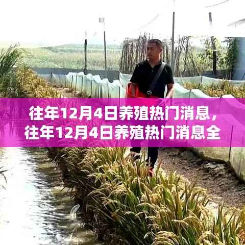 往年12月4日养殖热点深度解析,成为养殖达人之路全揭秘