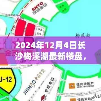 揭秘长沙梅溪湖最新楼盘与小巷特色小店,探寻不一样的风情韵味